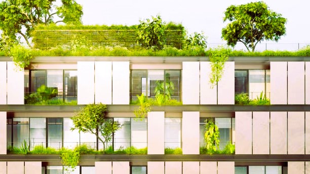 sustainable green office