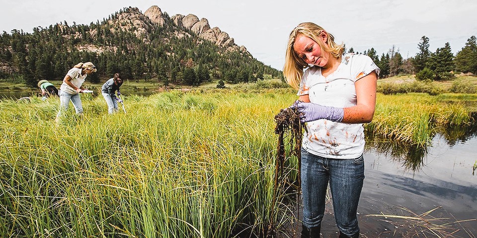 Citizen Science and Environmental Monitoring